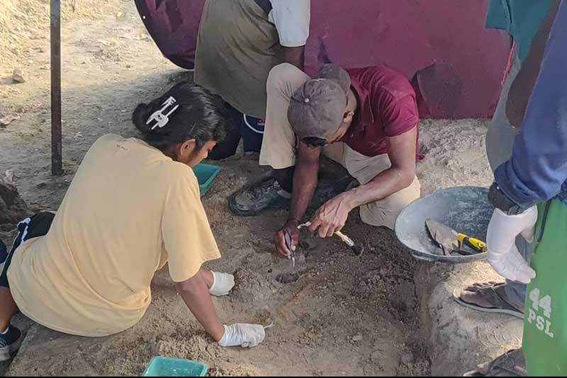 செம்மணி மனிதப் புதைகுழியில் இருந்து சிறுவர்களின் எலும்புக்கூடுகள் மீட்பு!