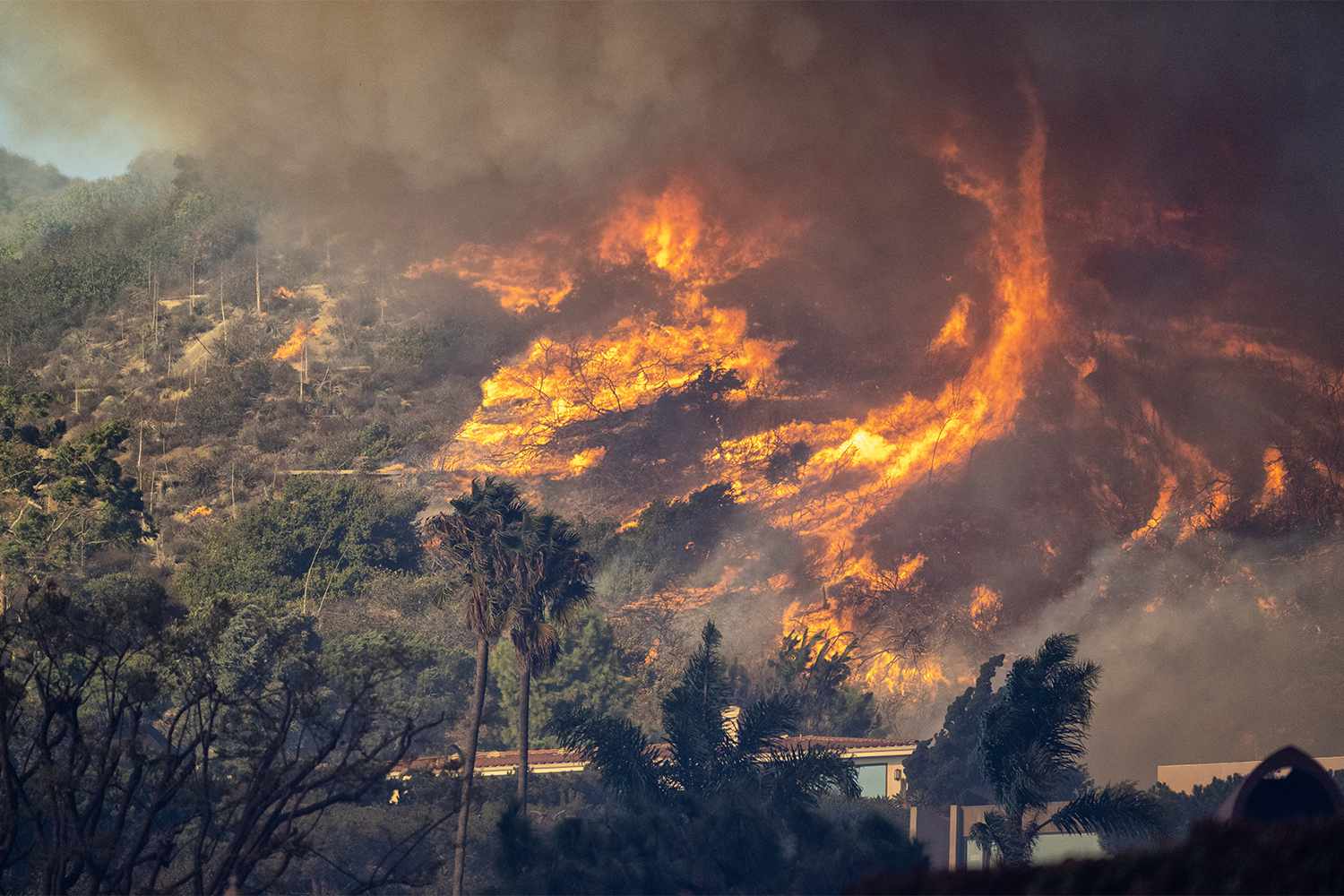 LA_2.jpg